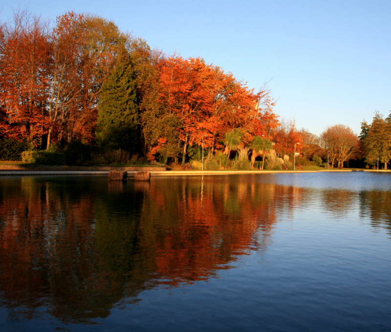 Basingstoke